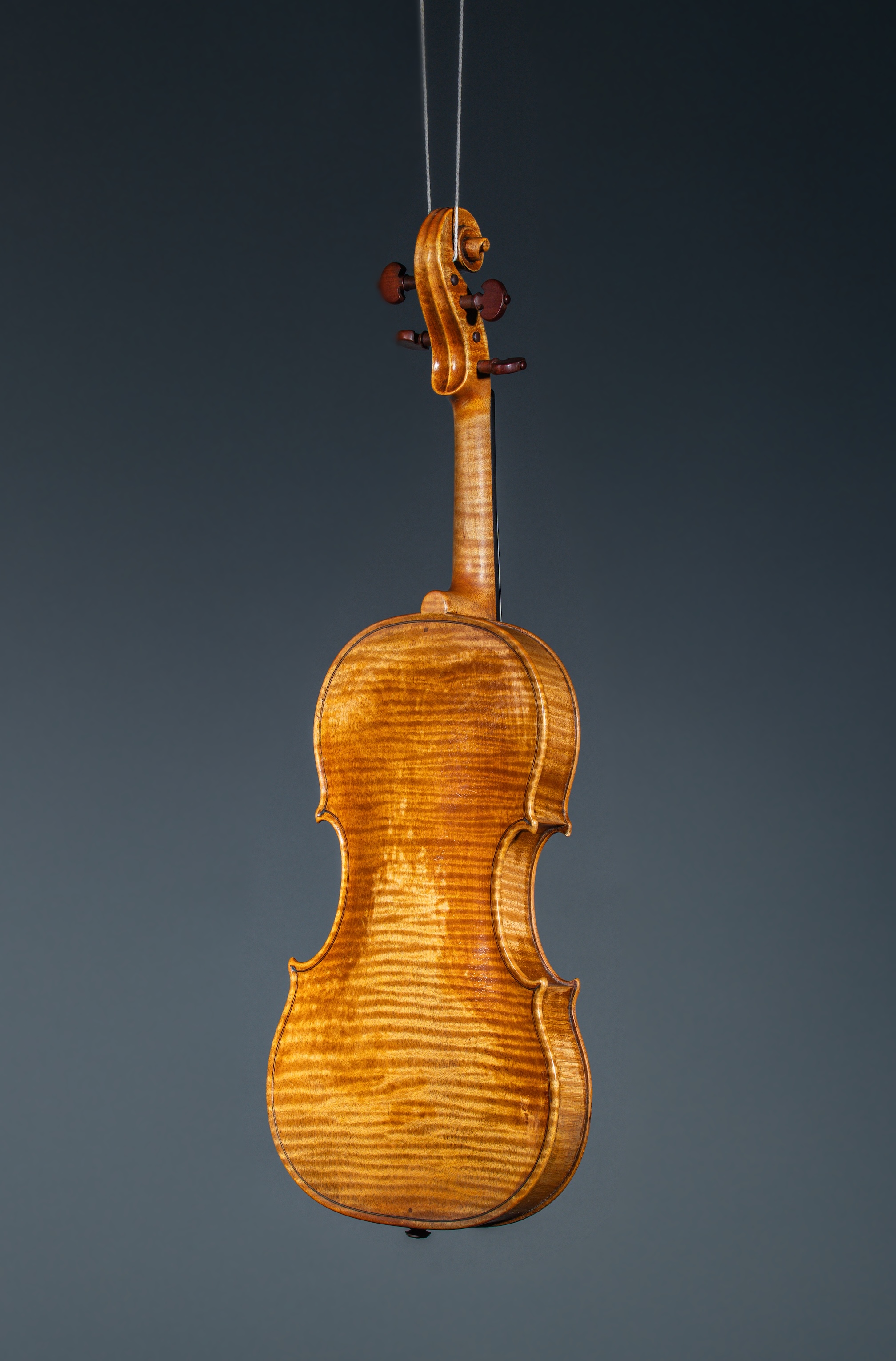 Violin Back View